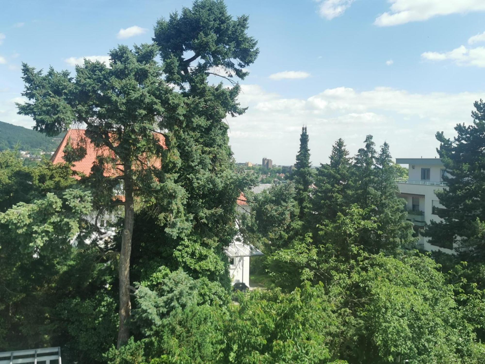 Ferienwohnung Bergblick Neustadt an der Weinstrasse Bagian luar foto