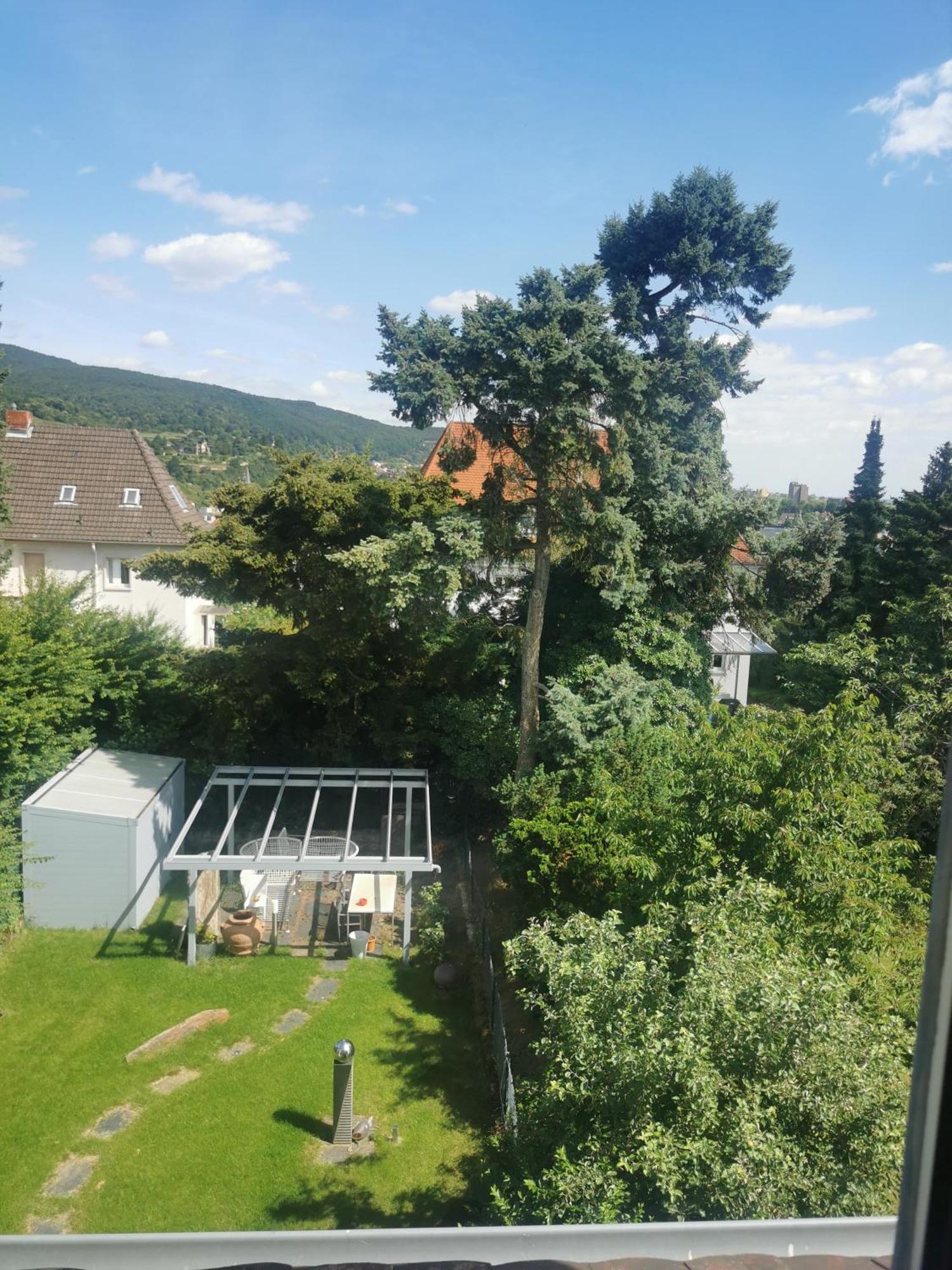 Ferienwohnung Bergblick Neustadt an der Weinstrasse Bagian luar foto