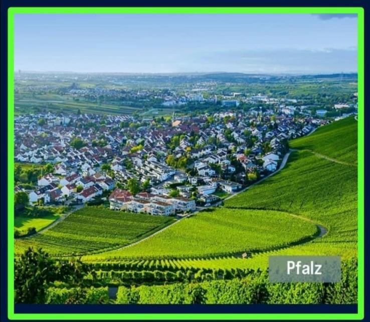 Ferienwohnung Bergblick Neustadt an der Weinstrasse Ruang foto